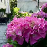Giardino Delle Ortensie Apartman *