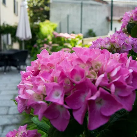 Giardino Delle Ortensie Lägenhet *