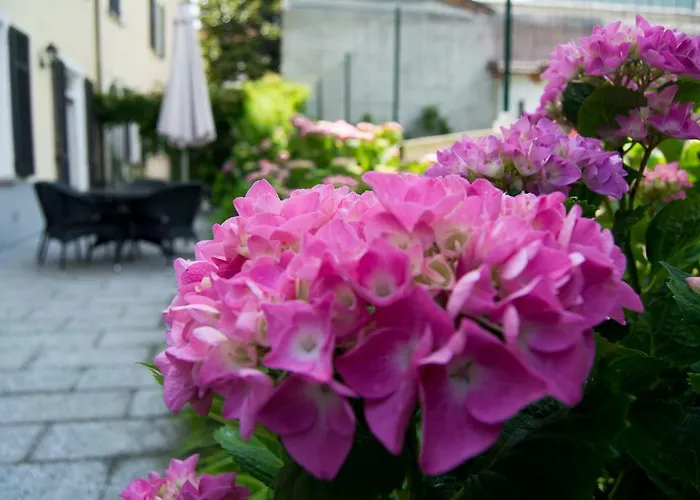 Giardino Delle Ortensie Lejlighed *